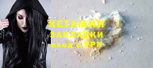 молекула духа Снежногорск